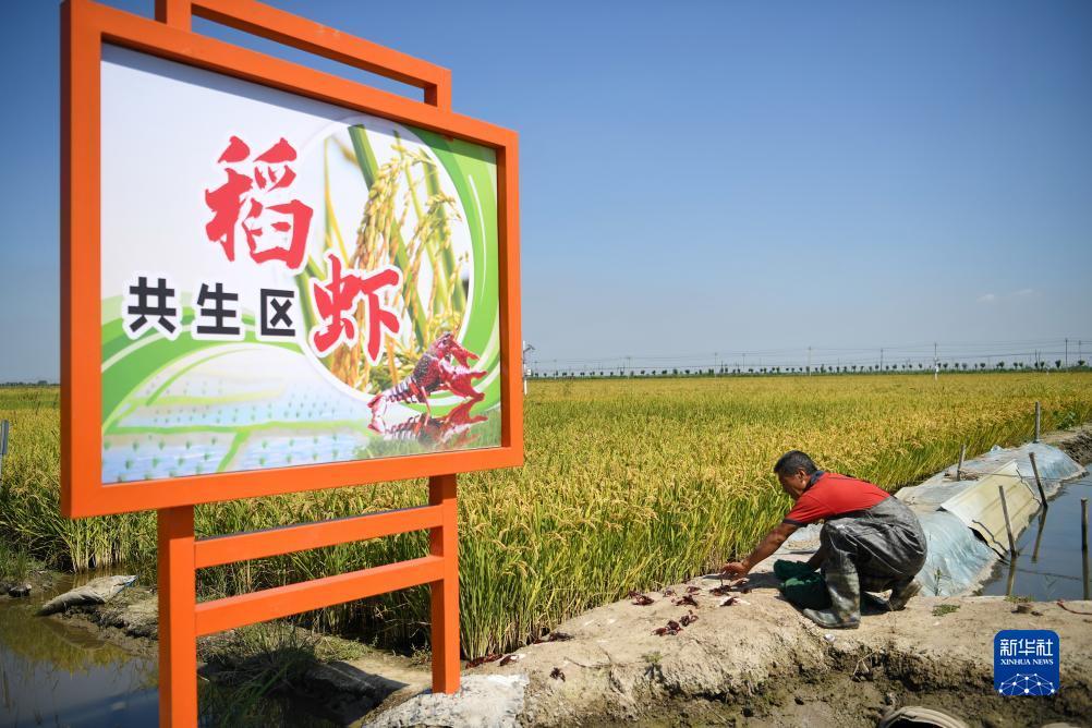 丰来国际娱乐
